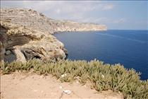 Blue Grotto (3)